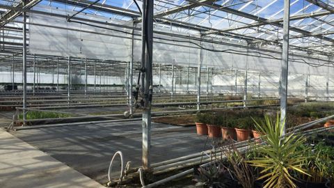 Parmi les animations organisées à la journée « Horticultures de Demain » à Romans-sur-Isère le 7 mars 2019 : des visites de cultures sous serres et au champ. ©Léna Hespel